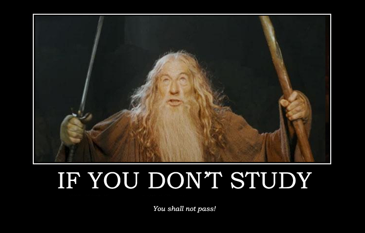 study motivation meme