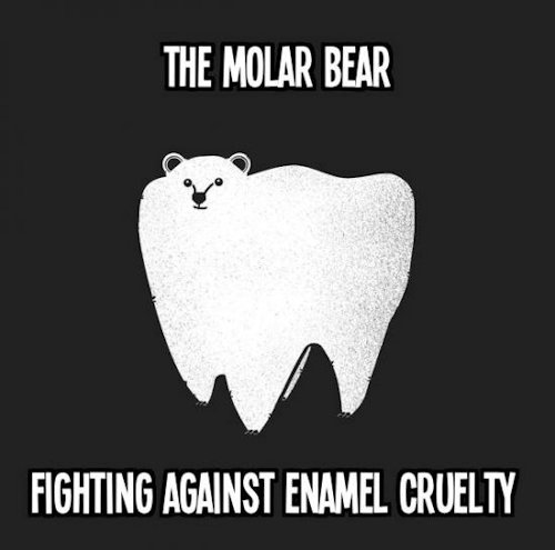 molar bear