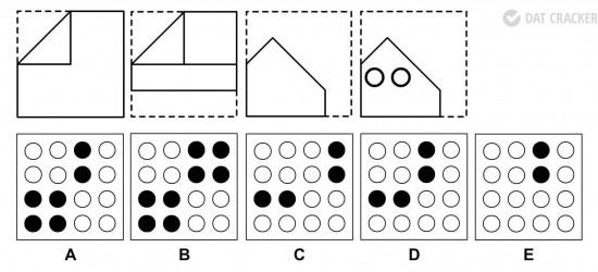 HP_81
